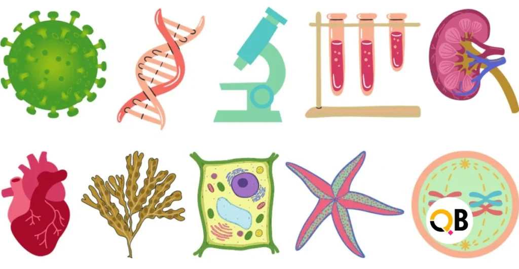 Biology Quiz for Students
