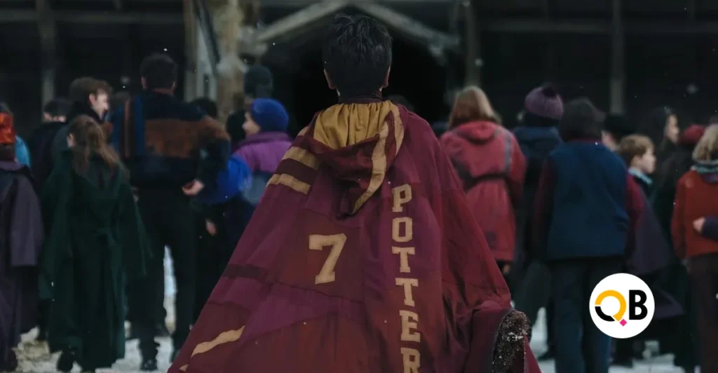 Harry Potter TV Series