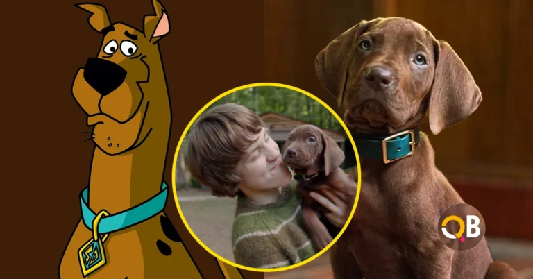 Scooby-Doo Origins